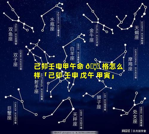 己卯壬申甲午命 🦁 格怎么样「己卯 壬申 戊午 甲寅」